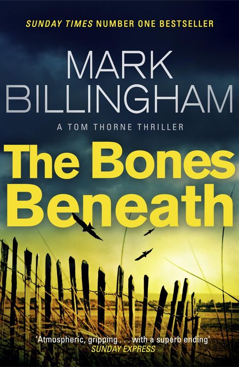 Produktbild: The Bones Beneath