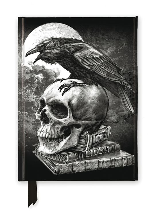 Produktbild: Premium Notizbuch DIN A5: Alchemie, Edgar Ellen Poe's Rabe