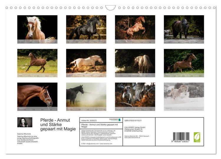 Produktbild: Pferde - Anmut und St&auml;rke gepaart mit Magie (Wandkalender 2026 DIN A3 quer), CALVENDO Monatskalender