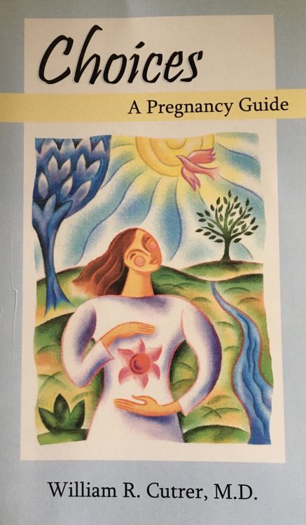 Produktbild: Choices: A Pregnancy Guide