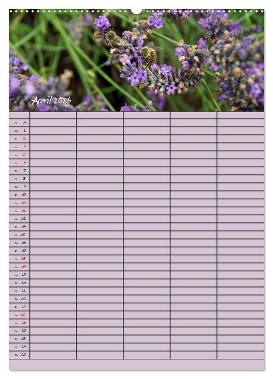 Produktbild: Naturzauber Lavendel - Familienplaner (hochwertiger Premium Wandkalender 2026 DIN A2 hoch), Kunstdruck in Hochglanz