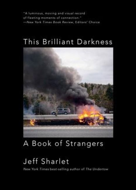 Produktbild: This Brilliant Darkness