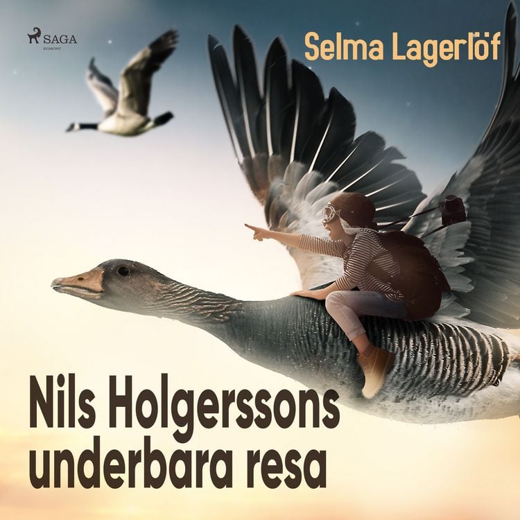 Produktbild: Nils Holgerssons underbara resa