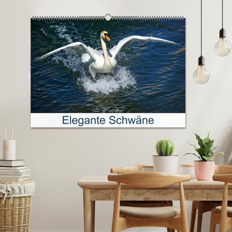 Produktbild: Elegante Schw&auml;ne (Wandkalender 2026 DIN A2 quer), CALVENDO Monatskalender