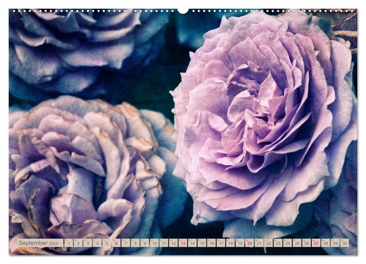 Produktbild: Rosenduft Shabby Chic Style (Wandkalender 2026 DIN A2 quer), CALVENDO Monatskalender