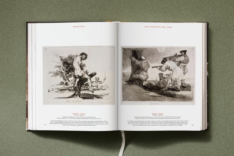 Produktbild: Goya