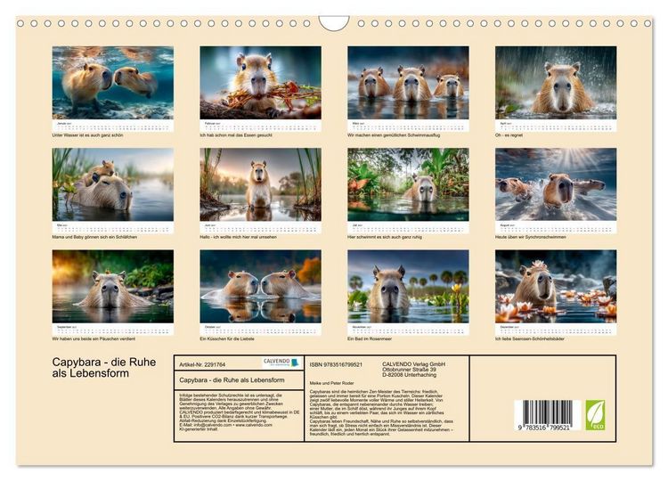 Produktbild: Capybara - die Ruhe als Lebensform (Wandkalender 2027 DIN A3 quer), CALVENDO Monatskalender