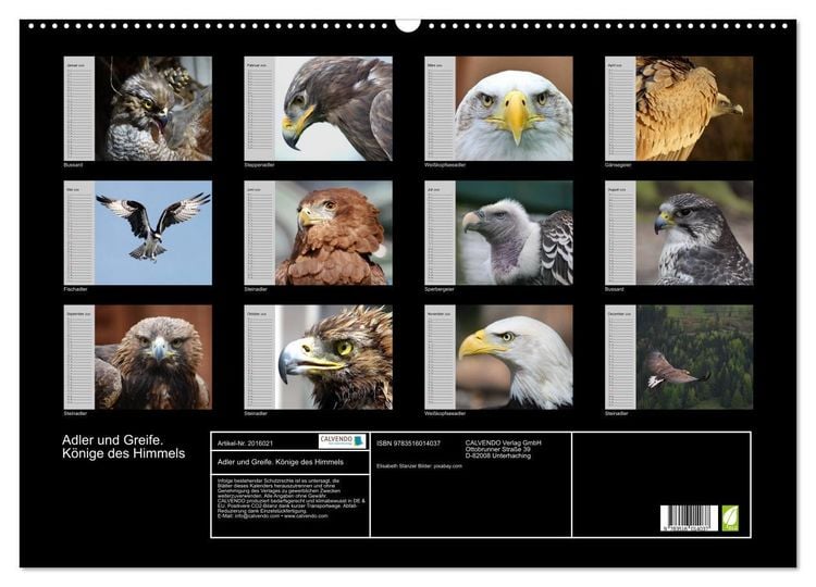 Produktbild: Adler und Greife. K&ouml;nige des Himmels (Wandkalender 2026 DIN A2 quer), CALVENDO Monatskalender