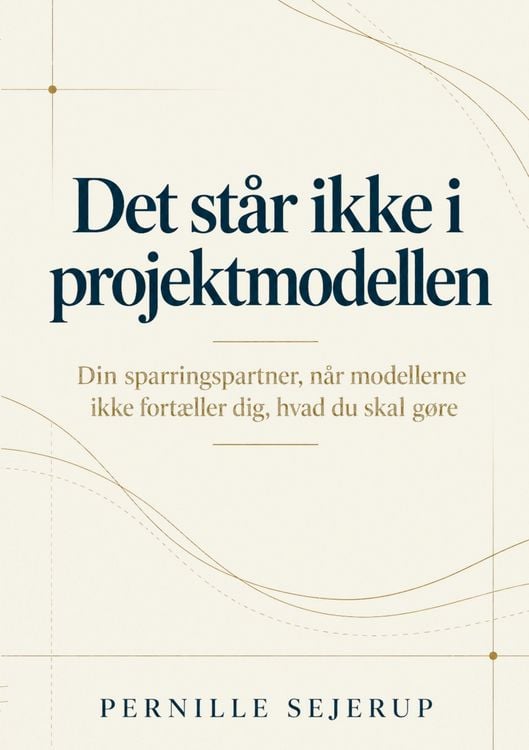 Produktbild: Det st&aring;r ikke i projektmodellen