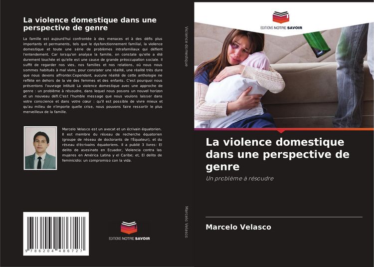 Produktbild: La violence domestique dans une perspective de genre