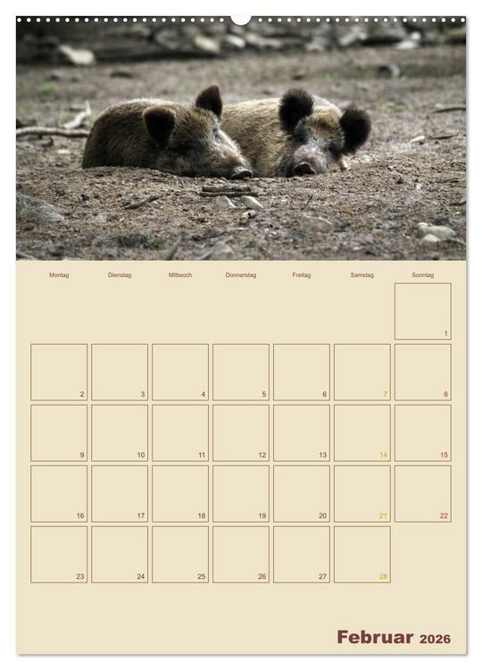 Produktbild: Wildschweine (hochwertiger Premium Wandkalender 2026 DIN A2 hoch), Kunstdruck in Hochglanz