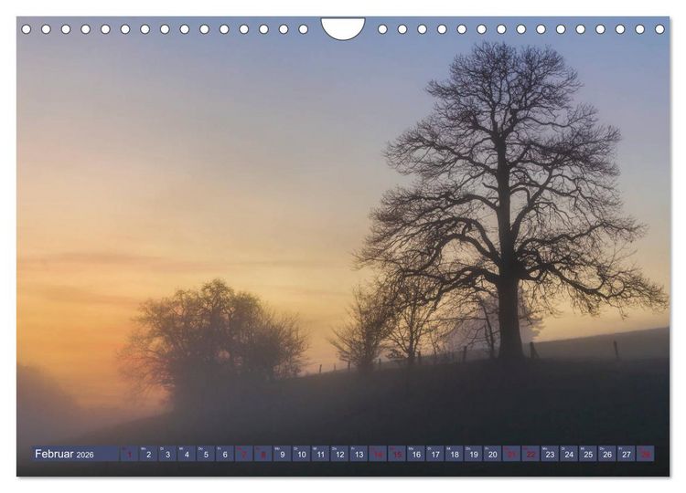 Produktbild: Augenschmaus Pf&auml;lzer Wald (Wandkalender 2026 DIN A4 quer), CALVENDO Monatskalender
