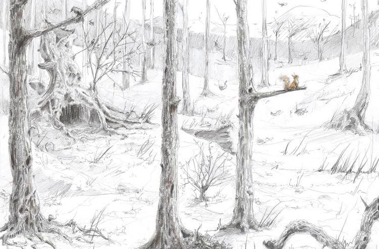 Produktbild: Herr Eichhorn: Herr Eichhorn und der erste Schnee