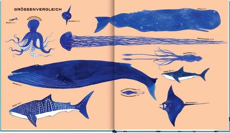 Produktbild: Die geheime Welt der Wale