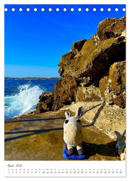 Produktbild: Schorschi auf Reisen ein kleiner Esel unterwegs auf der Insel Malta (Tischkalender 2026 DIN A5 hoch), CALVENDO Monatskalender