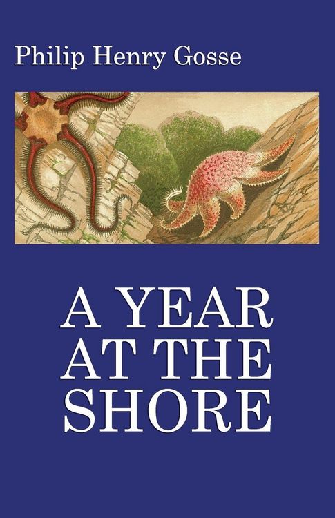 Produktbild: Gosse's a Year at the Shore