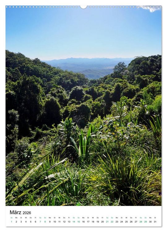 Produktbild: Regenwald - Australien (hochwertiger Premium Wandkalender 2026 DIN A2 hoch), Kunstdruck in Hochglanz