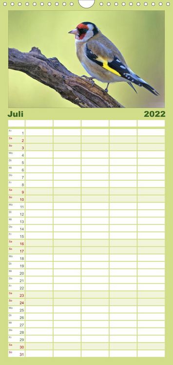 Produktbild: Familienplaner Heimische Gartenv&ouml;gel (Wandkalender 2022 , 21 cm x 45 cm, hoch)