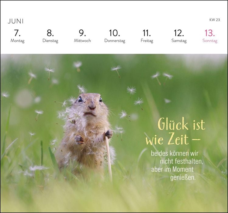 Produktbild: Postkartenkalender 2027: Kleine Gl&uuml;cksbringer f&uuml;r dein Jahr