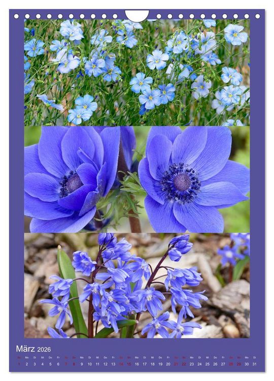 Produktbild: Mein Gartenjahr - Mit der Kamera unterwegs in G&auml;rten und Parkanlagen (Wandkalender 2026 DIN A4 hoch), CALVENDO Monatskalender