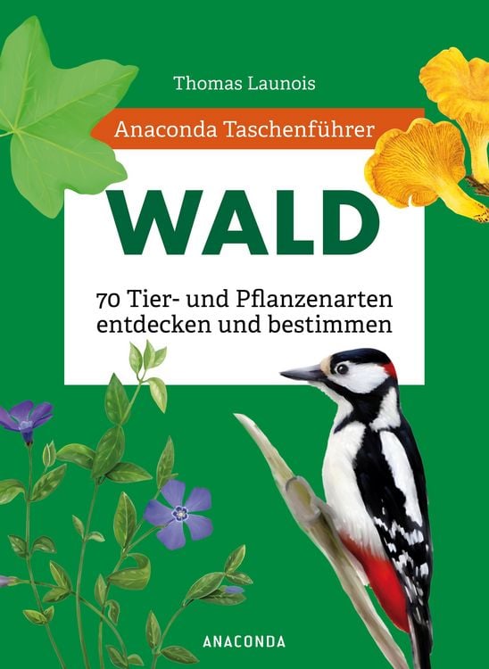 Produktbild: Anaconda Taschenf&uuml;hrer Wald - 70 Tier- und Pflanzenarten entdecken und bestimmen