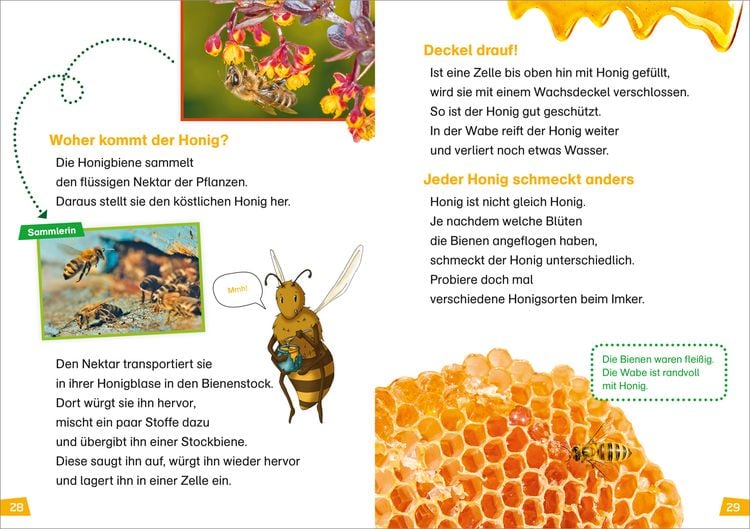 Produktbild: WAS IST WAS Erstes Lesen Band 5. Bienen