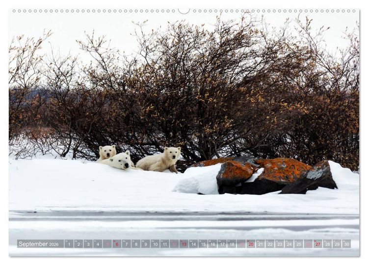 Produktbild: AN DER HUDSON BAY (hochwertiger Premium Wandkalender 2026 DIN A2 quer), Kunstdruck in Hochglanz