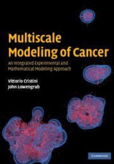 Produktbild: Multiscale Modeling of Cancer