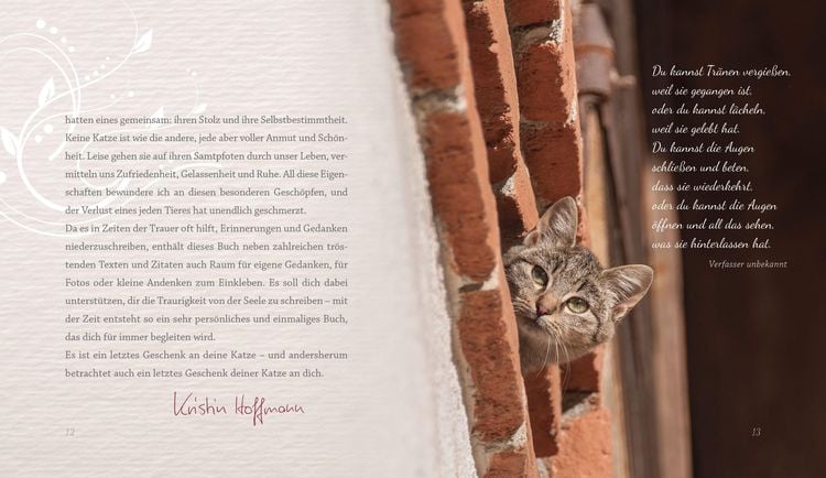Produktbild: Mehr als nur eine Katze