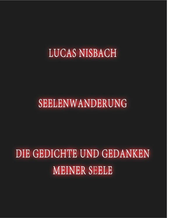 Produktbild: Seelenwanderung