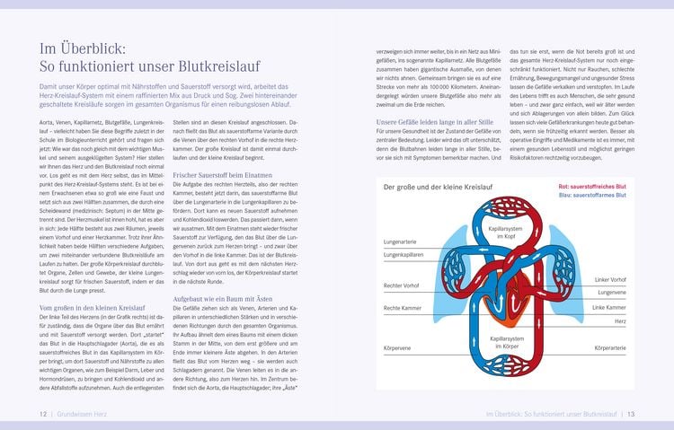 Produktbild: Die Ern&auml;hrungs-Docs &ndash; Starkes Herz