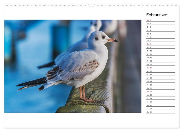Produktbild: Ostseebad Binz &ndash; Zeit f&uuml;r Erholung (hochwertiger Premium Wandkalender 2026 DIN A2 quer), Kunstdruck in Hochglanz