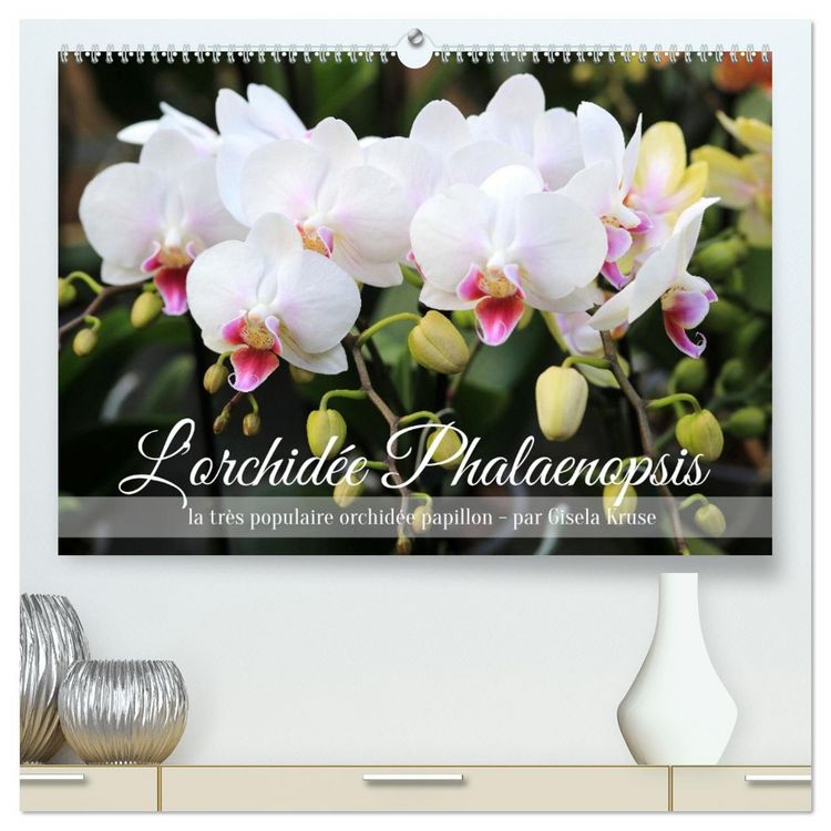 Produktbild: L'orchid&eacute;e Phalaenopsis (Calendrier mural 2026 DIN A2 vertical) calendrier de bureau