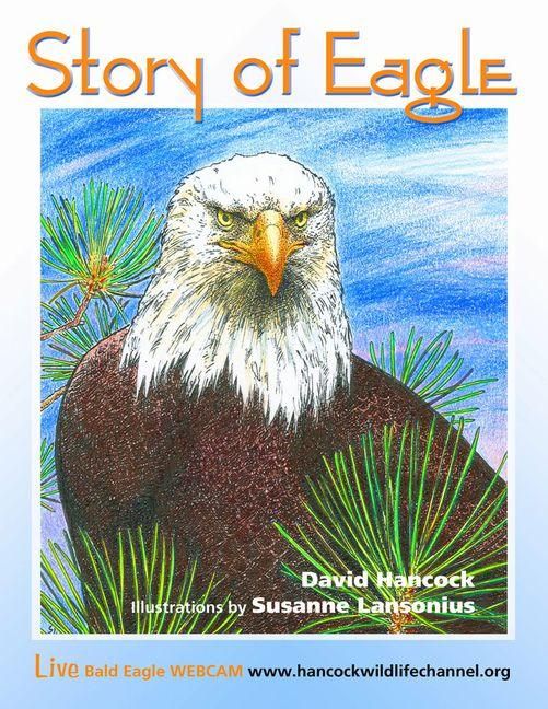 Produktbild: Story of Eagle Activity & Coloring Book