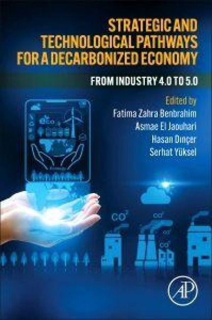 Produktbild: Strategic and Technological Pathways for a Decarbonized Economy
