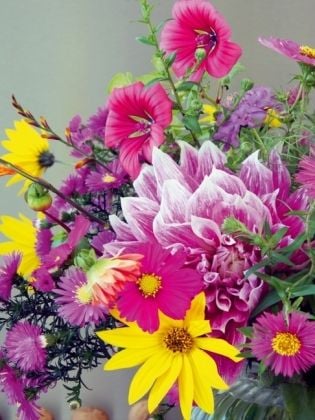 Produktbild: CALVENDO Puzzle Sp&auml;tsommerstrau&szlig; | 1000 Teile Lege-Gr&ouml;&szlig;e 64x48cm Foto-Puzzle f&uuml;r gl&uuml;ckliche Stunden