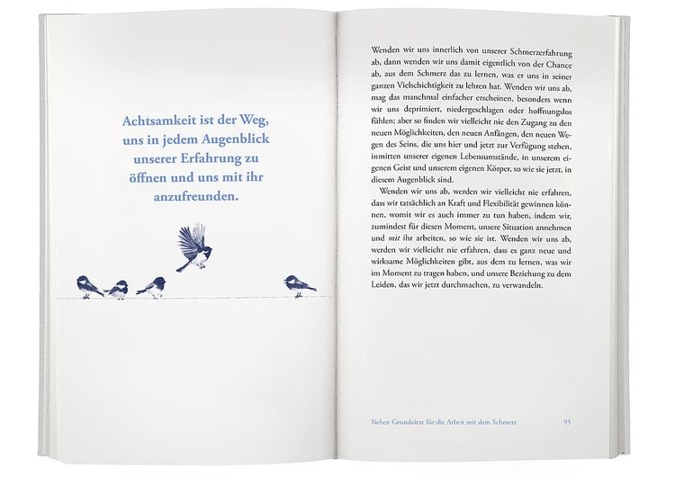 Produktbild: Achtsam mit dem Schmerz