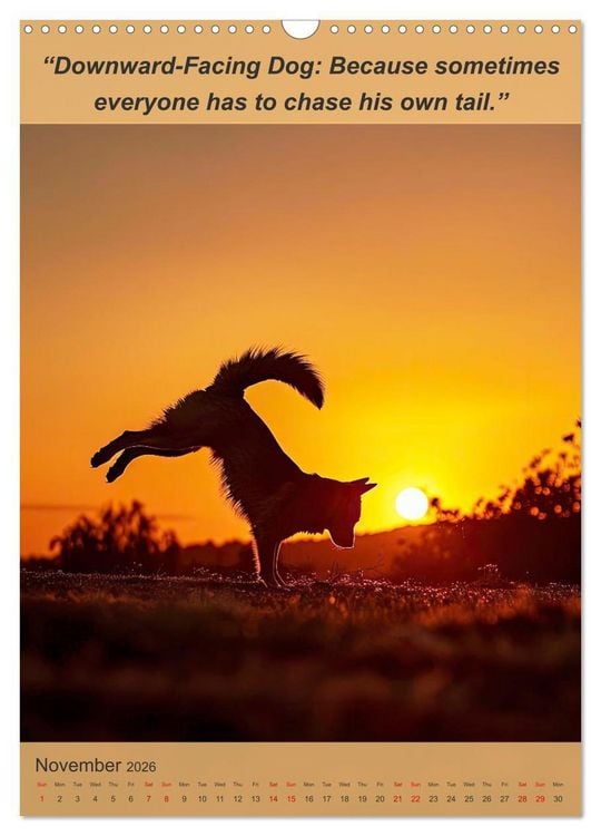 Produktbild: Funny animalistic yoga poses (Wall Calendar 2026 DIN A3 portrait), CALVENDO 12 Month Wall Calendar