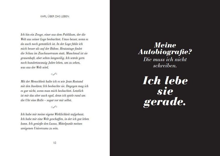 Produktbild: Karl und wie er die Welt sah