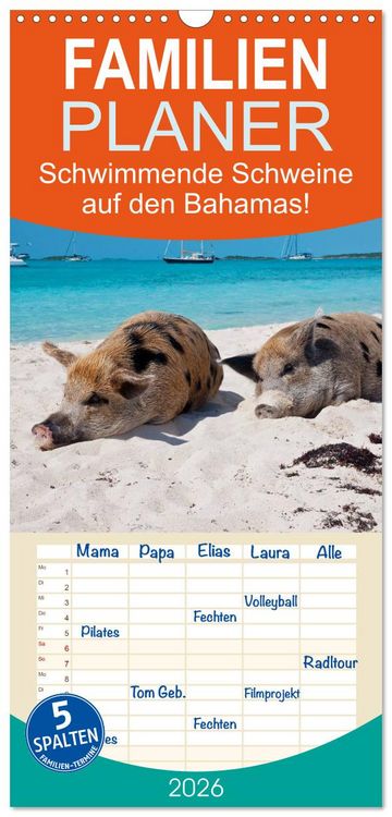 Produktbild: Familienplaner 2026 - Schwimmende Schweine auf den Bahamas! mit 5 Spalten (Wandkalender, 21 x 45 cm) CALVENDO