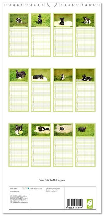 Produktbild: Familienplaner 2026 - Franz&ouml;sische Bulldoggen mit 5 Spalten (Wandkalender, 21 x 45 cm) CALVENDO