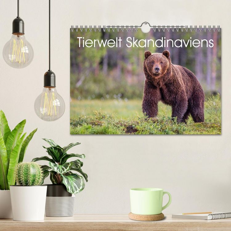 Produktbild: Tierwelt Skandinaviens (Wandkalender 2026 DIN A4 quer), CALVENDO Monatskalender