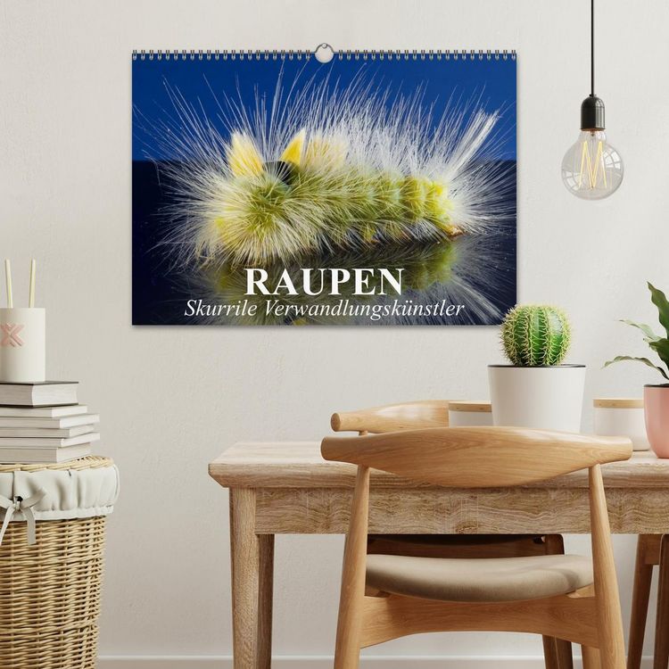 Produktbild: Raupen - Skurrile Verwandlungsk&uuml;nstler (Wandkalender 2026 DIN A3 quer), CALVENDO Monatskalender