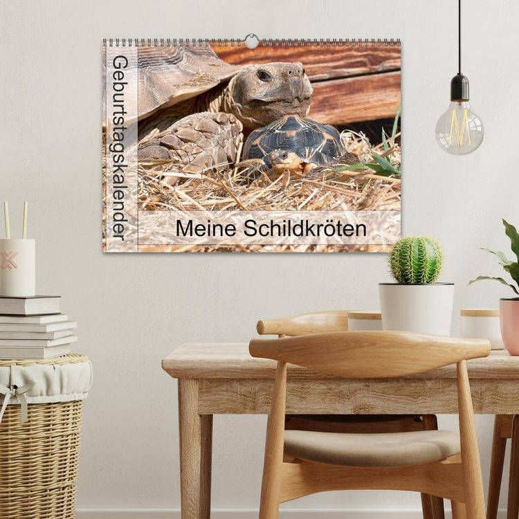 Produktbild: Meine Schildkr&ouml;ten - Geburtstagskalender (Wandkalender 2026 DIN A3 quer), CALVENDO Monatskalender