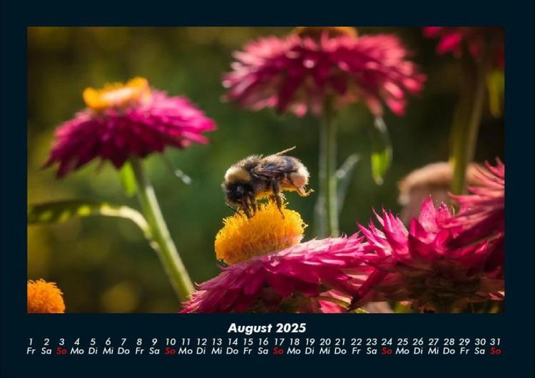 Produktbild: Blumenkalender 2025 Fotokalender DIN A4
