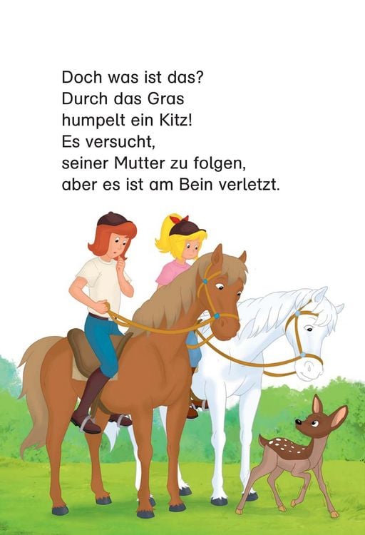 Produktbild: Bibi & Tina: Pferde satteln, fertig, los!