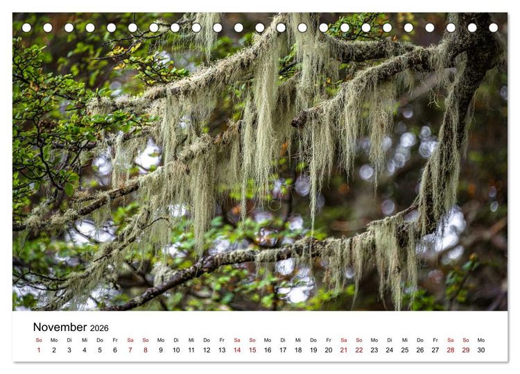 Produktbild: Patagonien, Tierra del Fuego: Am Rand der Welt (Tischkalender 2026 DIN A5 quer), CALVENDO Monatskalender