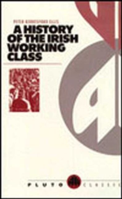 Produktbild: A History of the Irish Working Class: (With a New Preface)