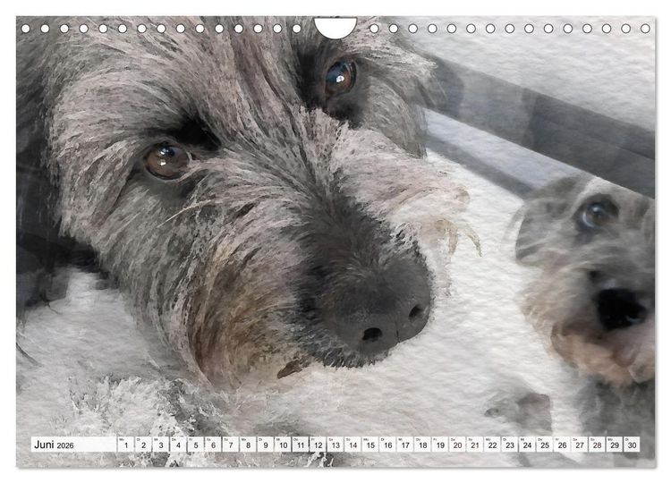 Produktbild: Niedliche Hunde - Digitale Aquarelle (Wandkalender 2026 DIN A4 quer), CALVENDO Monatskalender