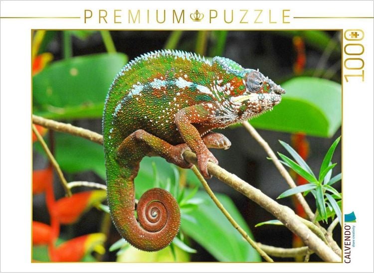 Produktbild: CALVENDO Puzzle Panther-Cham&auml;leon in leuchtenden Farben | 1000 Teile Lege-Gr&ouml;&szlig;e 64x48cm Foto-Puzzle f&uuml;r gl&uuml;ckliche Stunden